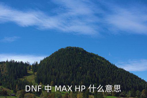 DNF 中 MAX HP 什么意思