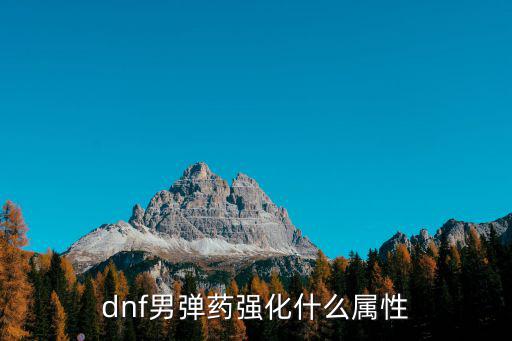 dnf弹药什么属性强化，dnf男弹药强化什么属性