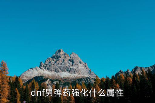 dnf弹药什么属性强化，dnf男弹药强化什么属性