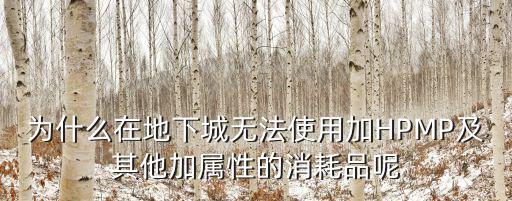 为什么在地下城无法使用加HPMP及其他加属性的消耗品呢
