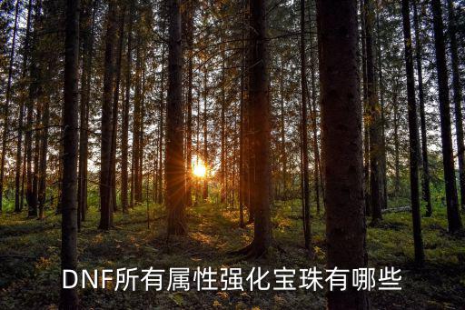 dnf双属性宝珠有什么，dnf双属性宝珠有哪些85版本