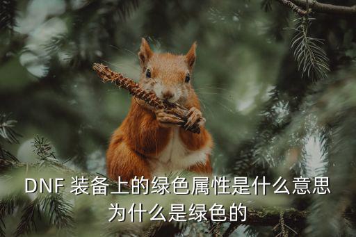DNF 装备上的绿色属性是什么意思为什么是绿色的