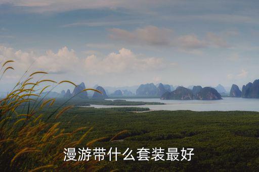漫游带什么套装最好