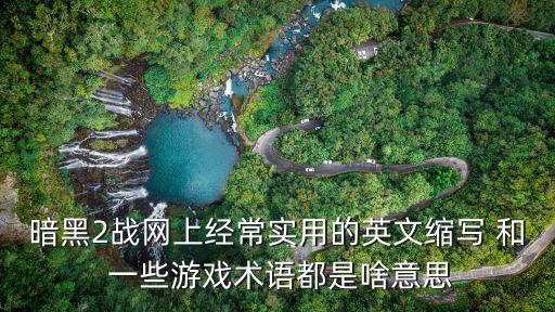 暗黑2战网上经常实用的英文缩写 和 一些游戏术语都是啥意思
