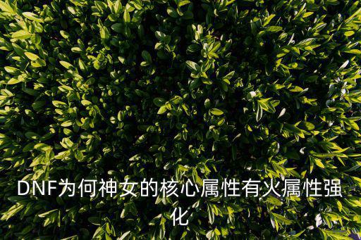 dnf神女属于什么属性，DNF 55CC控魂女神套每件属性是什么阿