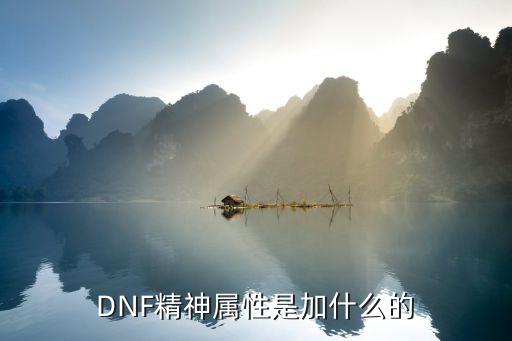 dnf精神属性加什么属性，DNF里体力和精神是加什么属性的