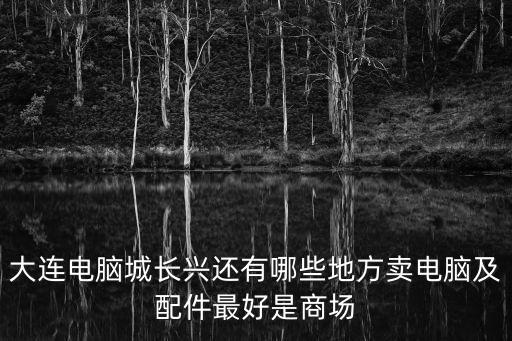 大连电脑城长兴还有哪些地方卖电脑及配件最好是商场