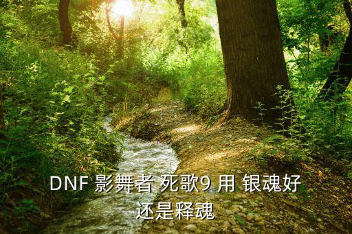 dnf影舞者什么属性好，DNF 影舞者 死歌9 用 银魂好还是释魂