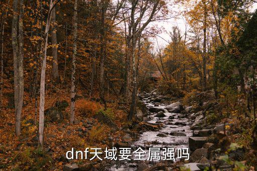 dnf手游天域套什么属性，dnf天域要全属强吗