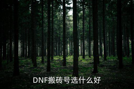 dnf搬砖选什么属性，dnf搬砖用什么属性