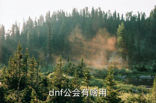 dnf高级公会有什么属性，DNF满级公会加哪些属性求详细求真相