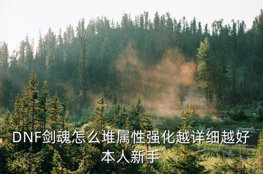dnf剑魂平民堆什么属性，dnf贫民剑魂是专堆物攻力量好还是堆点属强好