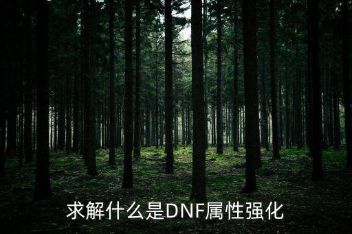 求解什么是DNF属性强化