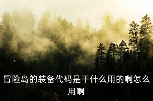 游戏装备强化程序代码是什么，冒险岛的装备代码是干什么用的啊怎么用啊