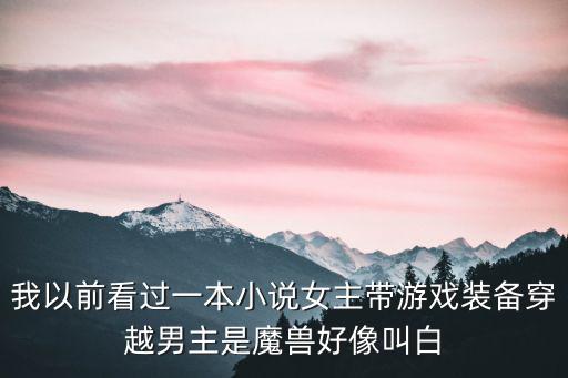 我以前看过一本小说女主带游戏装备穿越男主是魔兽好像叫白