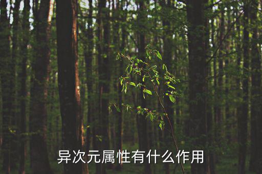 异次元属性有什么作用