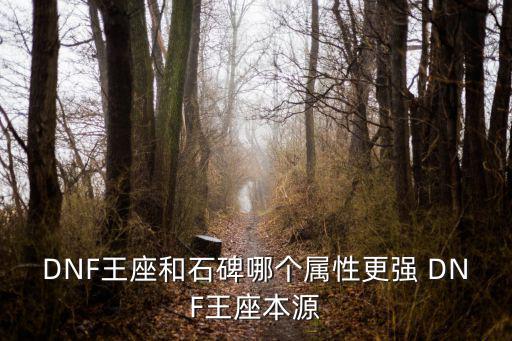 DNF王座和石碑哪个属性更强 DNF王座本源