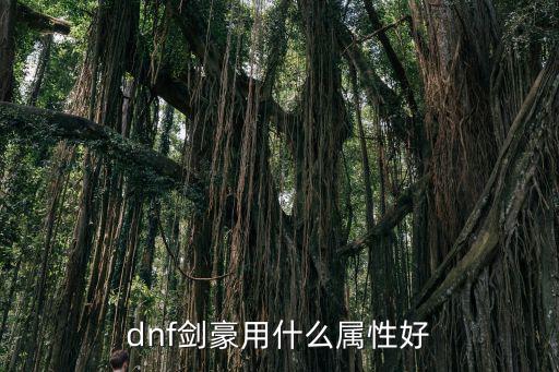 dnf剑豪用什么属性的好，dnf剑豪的装扮属性主要选什么好选施放速度有用吗