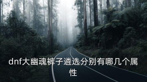 dnf大幽魂裤子遴选分别有哪几个属性