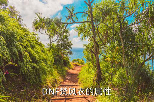 dnf风衣什么属性最好，DNF梵风衣的属性