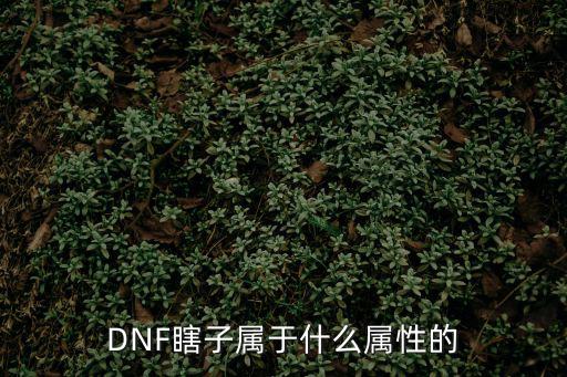 dnf瞎子用什么属性，DNF瞎子属于什么属性的