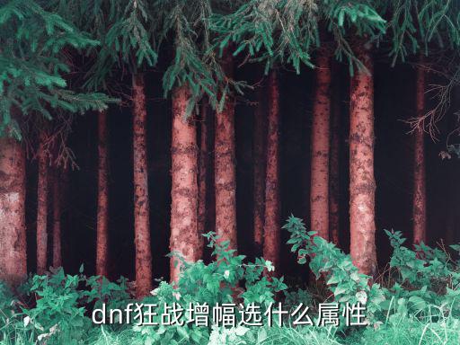 dnf狂战增幅选什么属性