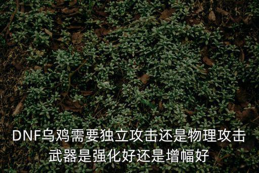 dnf70乌鸡走什么属性，dnf乌鸡是固伤还是百分比附魔要附魔什么