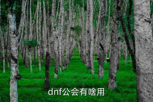 dnf工会什么属性，dnf公会有啥用