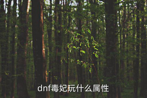 dnf毒妃玩什么属性