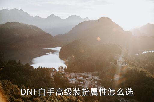 dnf白手适合什么属性，DNF白手套装属性选择