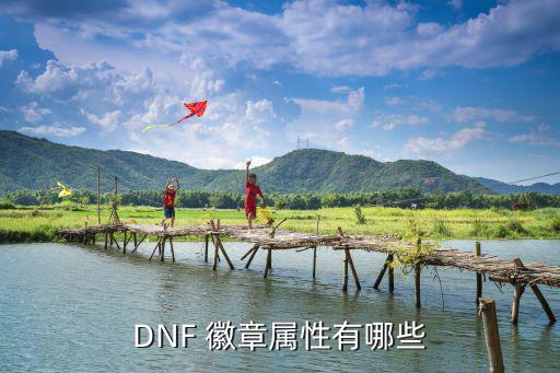 dnf团长徽章选什么属性，DNF 徽章属性有哪些