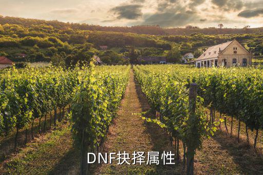 dnf遴选属性选择什么，遴选抉择什么意思