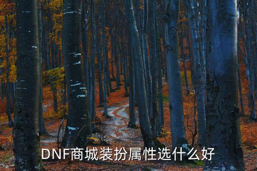 DNF商城装扮属性选什么好
