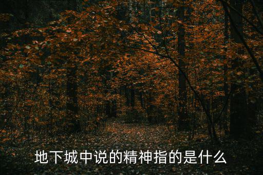 地下城中说的精神指的是什么