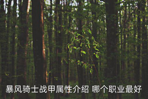 暴风骑士战甲属性介绍 哪个职业最好