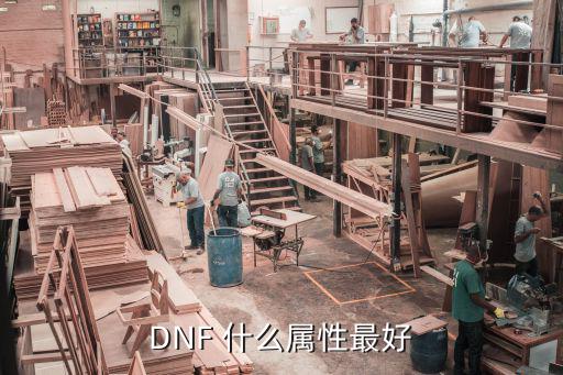 DNF 什么属性最好