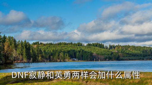 DNF寂静和英勇两样会加什么属性