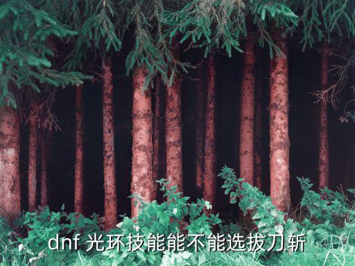 dnf遴选属性有什么，dnf 光环技能能不能选拔刀斩