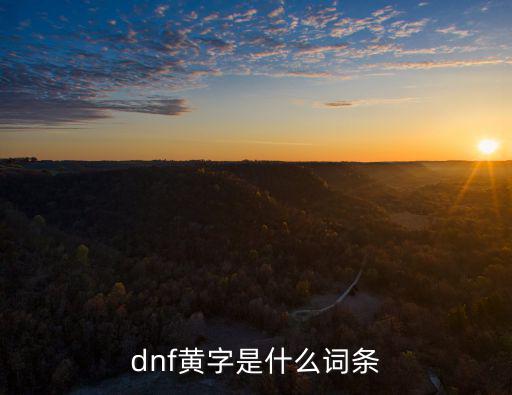 dnf黄字是什么词条