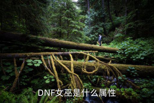 DNF女巫是什么属性