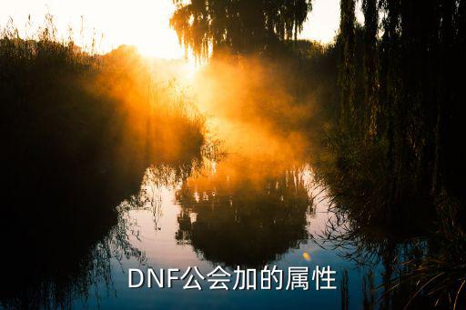 DNF公会加的属性