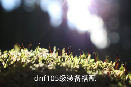 dnf黑鸭赋予什么属性，dnf怎么遴选