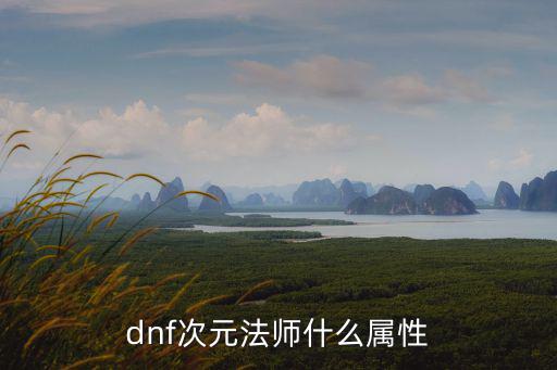 dnf次元法师吃什么属性，dnf次元法师什么属性