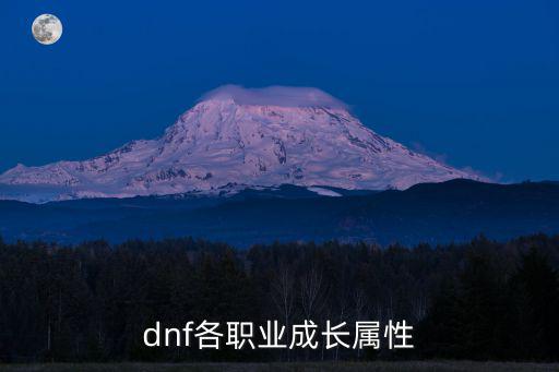 dnf 成长属性是什么，DNF自身属性成长问题