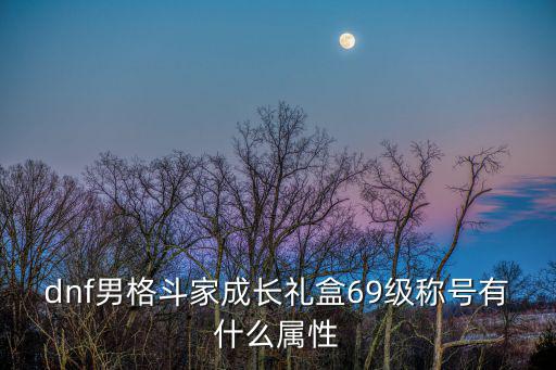 dnf男格斗家成长礼盒69级称号有什么属性