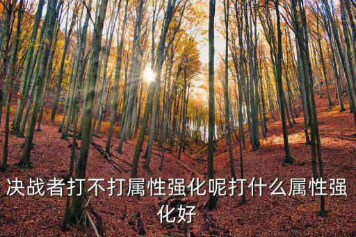决战者打不打属性强化呢打什么属性强化好