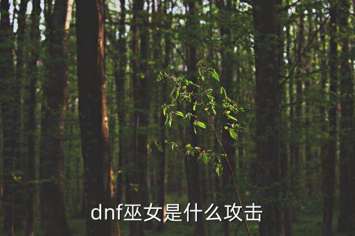 dnf巫女强化什么属性，DNF的各属性强化是干什么的
