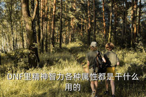 dnf智能是什么属性，DNF里精神智力各种属性都是干什么用的