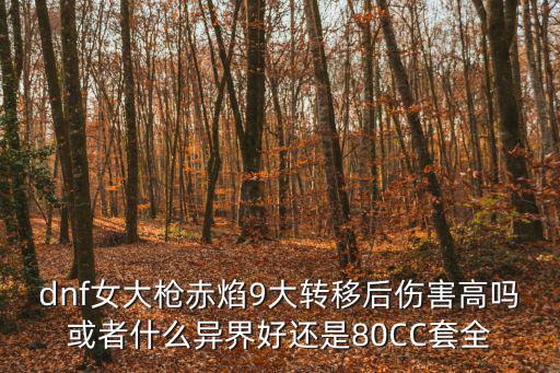 dnf大转移后什么属性好，dnf女大枪赤焰9大转移后伤害高吗或者什么异界好还是80CC套全