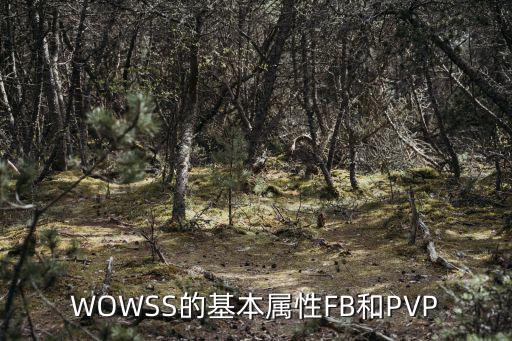 WOWSS的基本属性FB和PVP